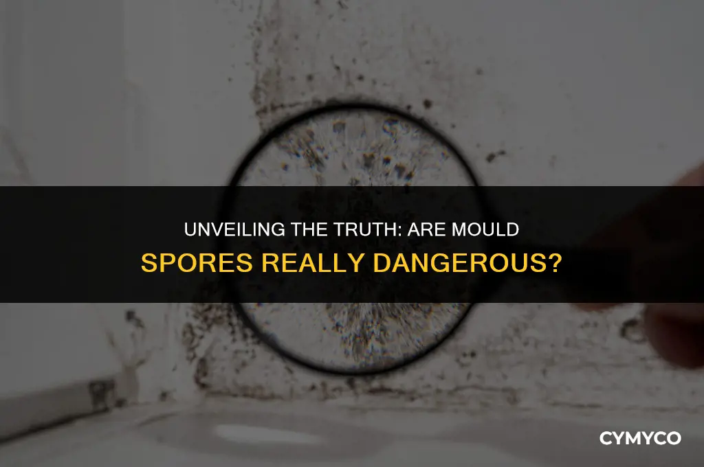 are mould spores dangerous