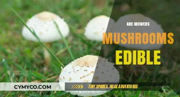 Exploring the Edibility of Mowers Mushrooms: A Comprehensive Guide