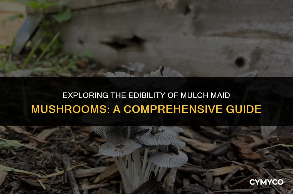 are mulch maid mushroom edible