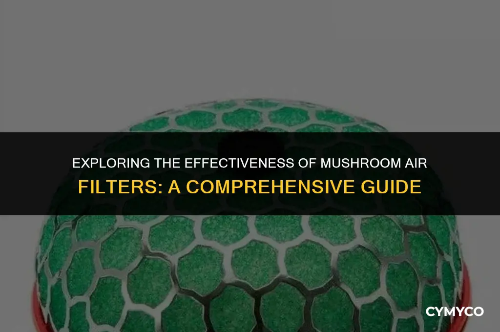are mushroom air filters any good