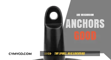 Exploring the Pros and Cons of Mushroom Anchors: A Comprehensive Guide