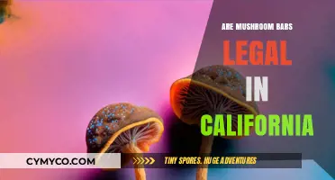 Exploring the Legality of Mushroom Bars in California