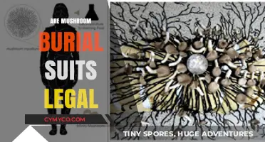 Exploring the Legality of Mushroom Burial Suits: A Comprehensive Guide
