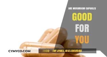 Exploring the Health Benefits of Mushroom Capsules: A Comprehensive Guide