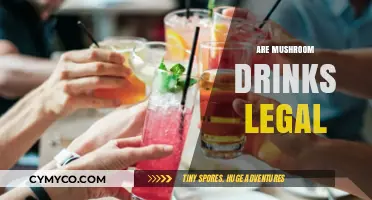 Exploring the Legality of Mushroom-Infused Beverages: A Comprehensive Guide