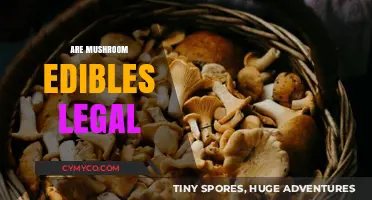 Exploring the Legality of Mushroom Edibles: A Comprehensive Guide
