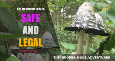Exploring the Safety and Legality of Edible Mushrooms
