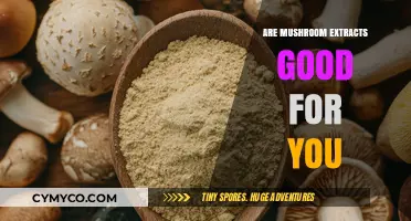 Exploring the Health Benefits of Mushroom Extracts: A Comprehensive Guide