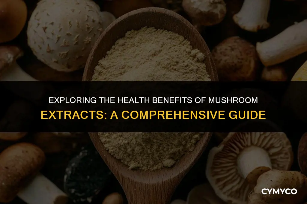 are mushroom extracts good for you