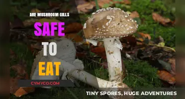 Exploring Edibility: Are Mushroom Gills Safe to Eat?