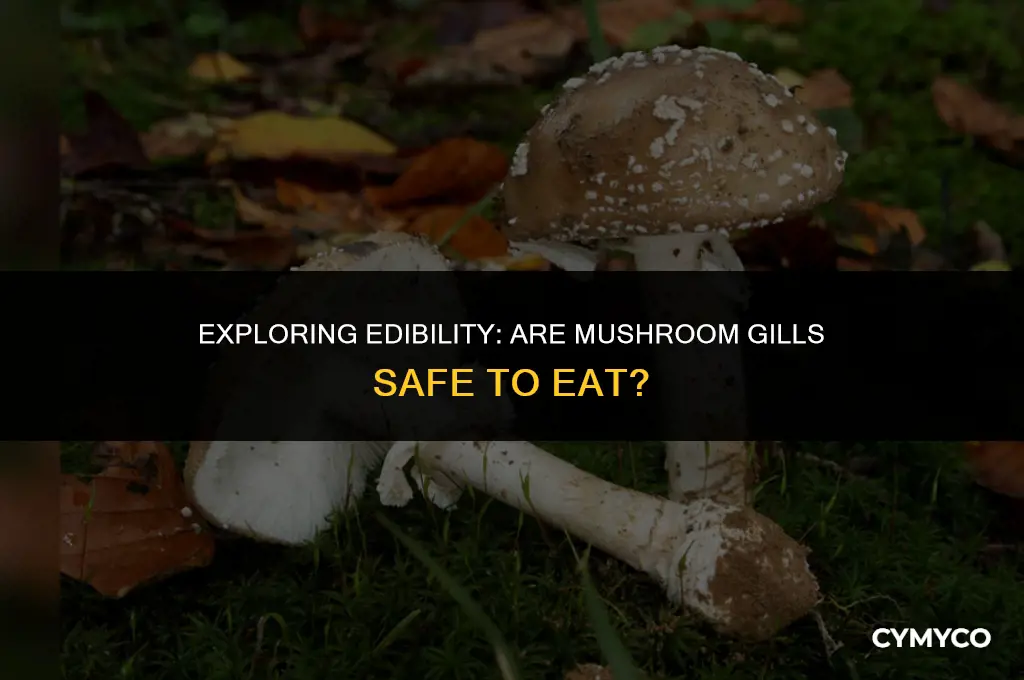 are mushroom gills safe to eat