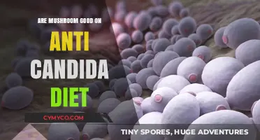 Exploring the Benefits of Mushrooms on an Anti-Candida Diet