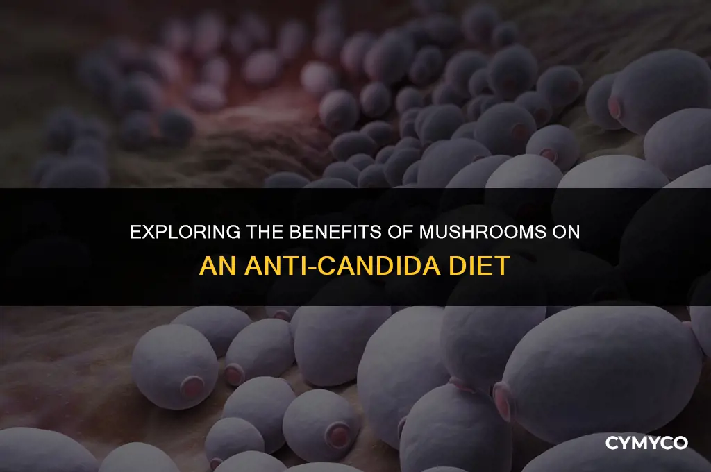 are mushroom good on anti candida diet
