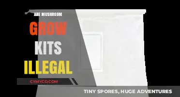 Exploring the Legality of Mushroom Grow Kits: A Comprehensive Guide