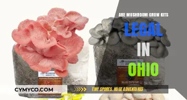 Exploring the Legality of Mushroom Grow Kits in Ohio