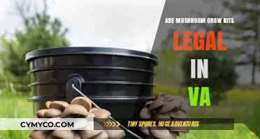 Exploring the Legality of Mushroom Grow Kits in Virginia