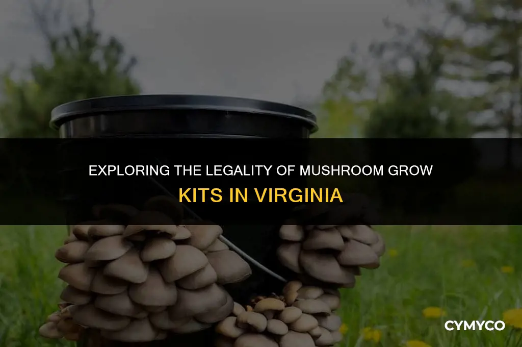 are mushroom grow kits legal in va