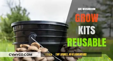 Exploring the Reusability of Mushroom Grow Kits: A Sustainable Approach