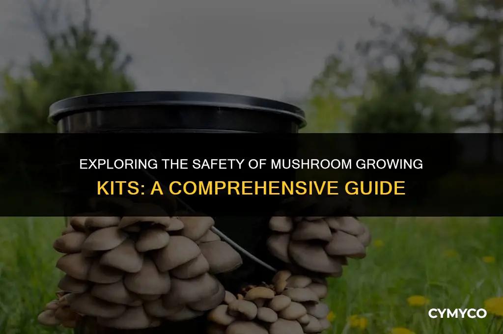 are mushroom growing kits safe