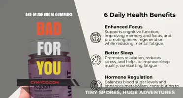 Exploring the Health Implications of Mushroom Gummies: A Comprehensive Guide