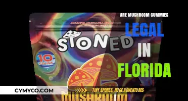 Exploring the Legality of Mushroom Gummies in Florida