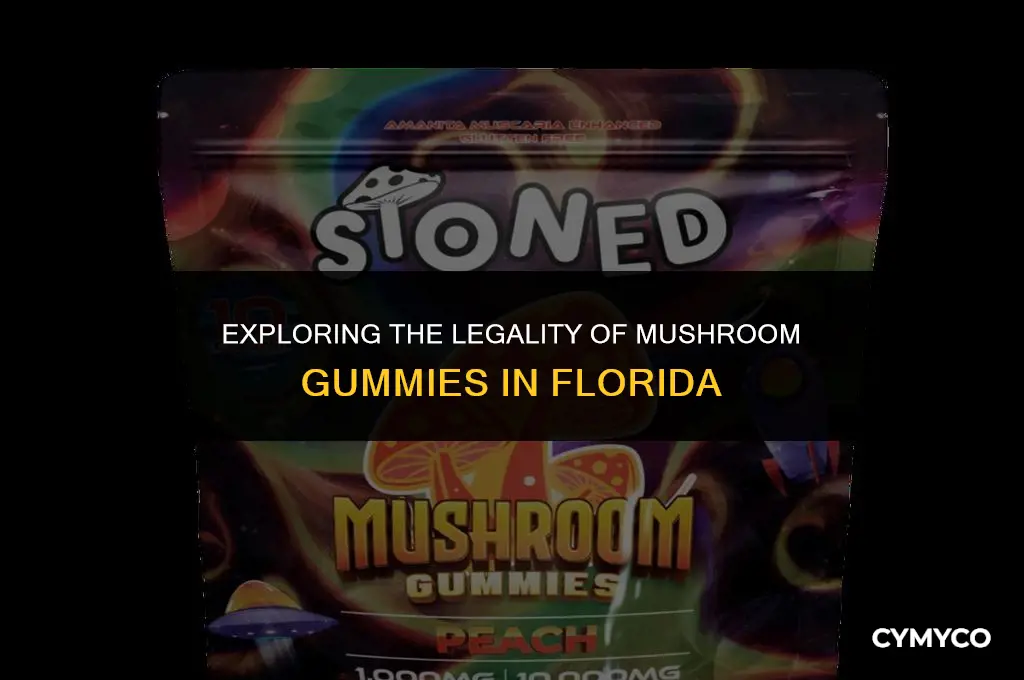 are mushroom gummies legal in florida