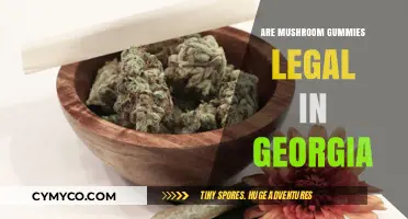 Exploring the Legality of Mushroom Gummies in Georgia: A Comprehensive Guide