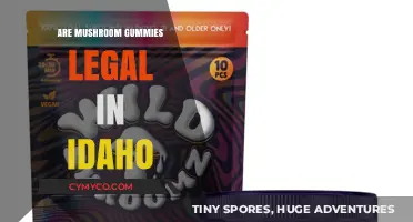 Exploring the Legality of Mushroom Gummies in Idaho