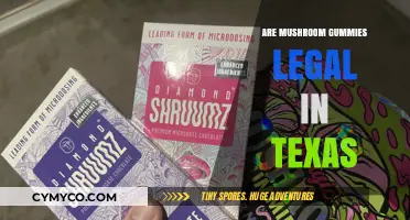 Are Mushroom Gummies Legal in Texas? What You Need to Know