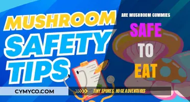 Exploring the Safety and Benefits of Mushroom Gummies