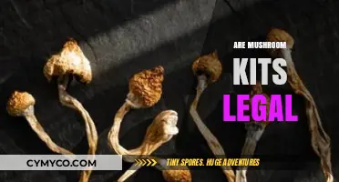 Exploring the Legality of Mushroom Kits: A Comprehensive Guide