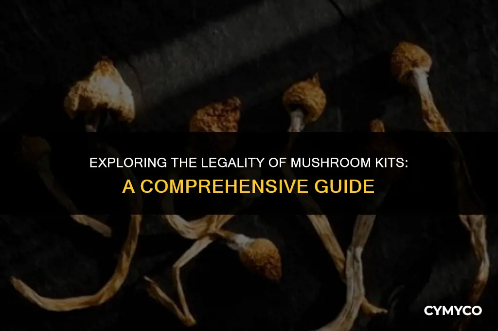 are mushroom kits legal