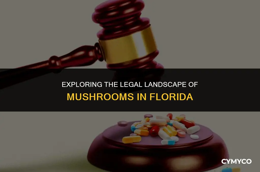 are mushroom legal in florida
