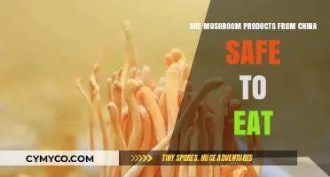 Exploring the Safety of Chinese Mushroom Products: A Consumer's Guide