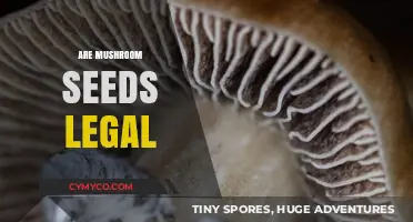 Exploring the Legality of Mushroom Spores: A Comprehensive Guide