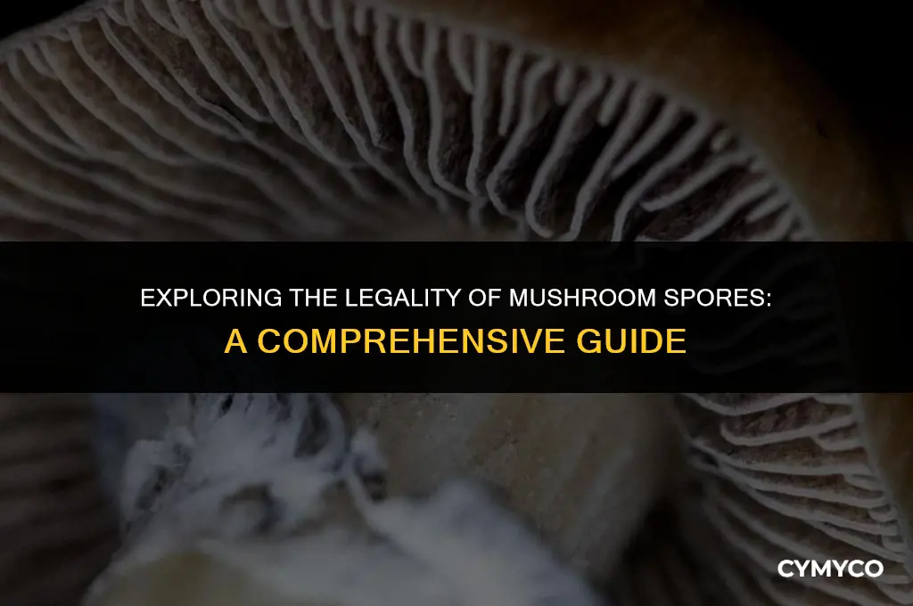 are mushroom seeds legal