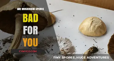Exploring the Health Implications of Mushroom Spores: A Comprehensive Guide