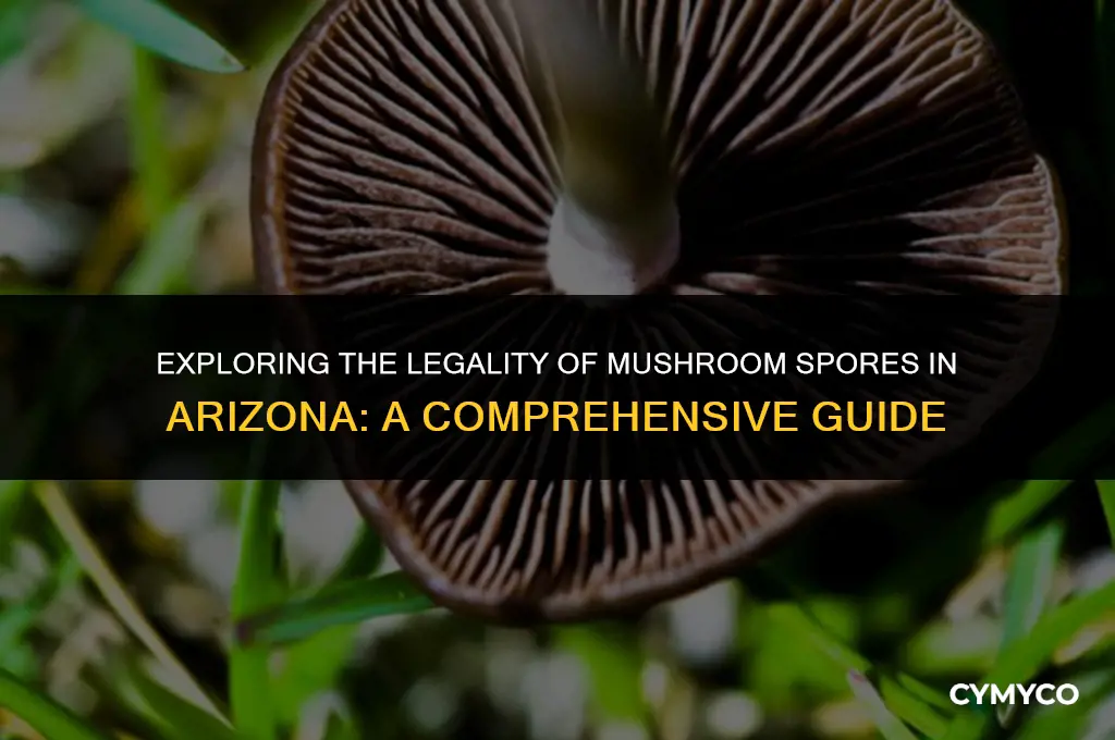 are mushroom spores legal in arizona