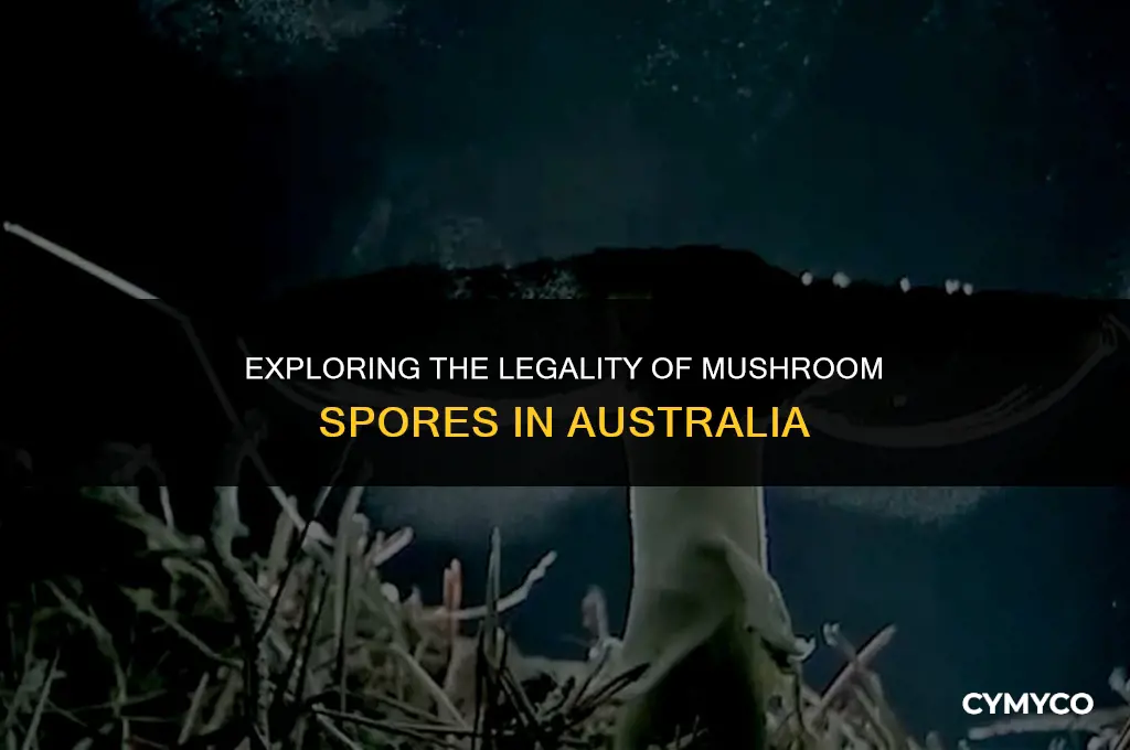 are mushroom spores legal in australia