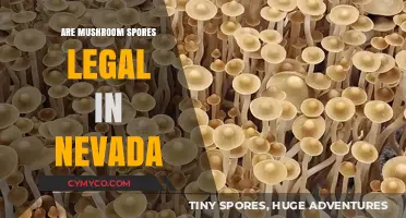 Exploring the Legal Landscape of Mushroom Spores in Nevada