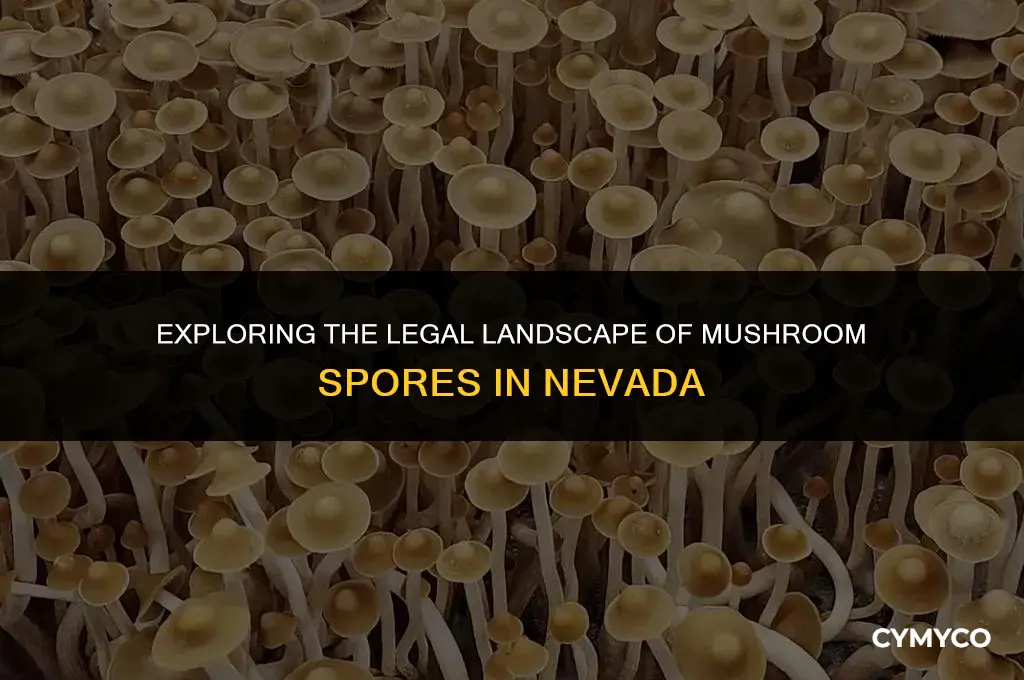 are mushroom spores legal in nevada