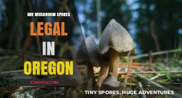 Exploring the Legality of Mushroom Spores in Oregon: A Comprehensive Guide