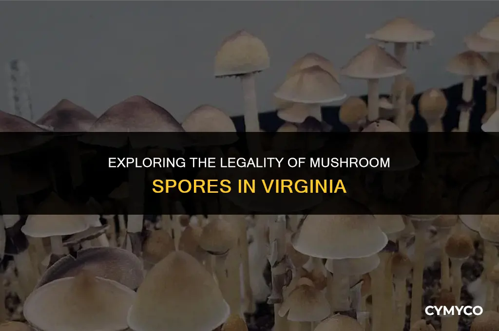 are mushroom spores legal in virginia