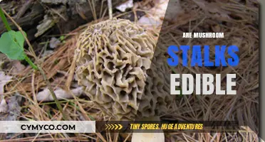 Exploring the Edibility of Mushroom Stalks: A Comprehensive Guide