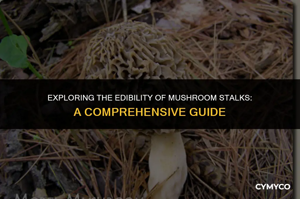 are mushroom stalks edible
