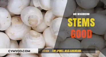 Exploring the Nutritional Benefits of Mushroom Stems