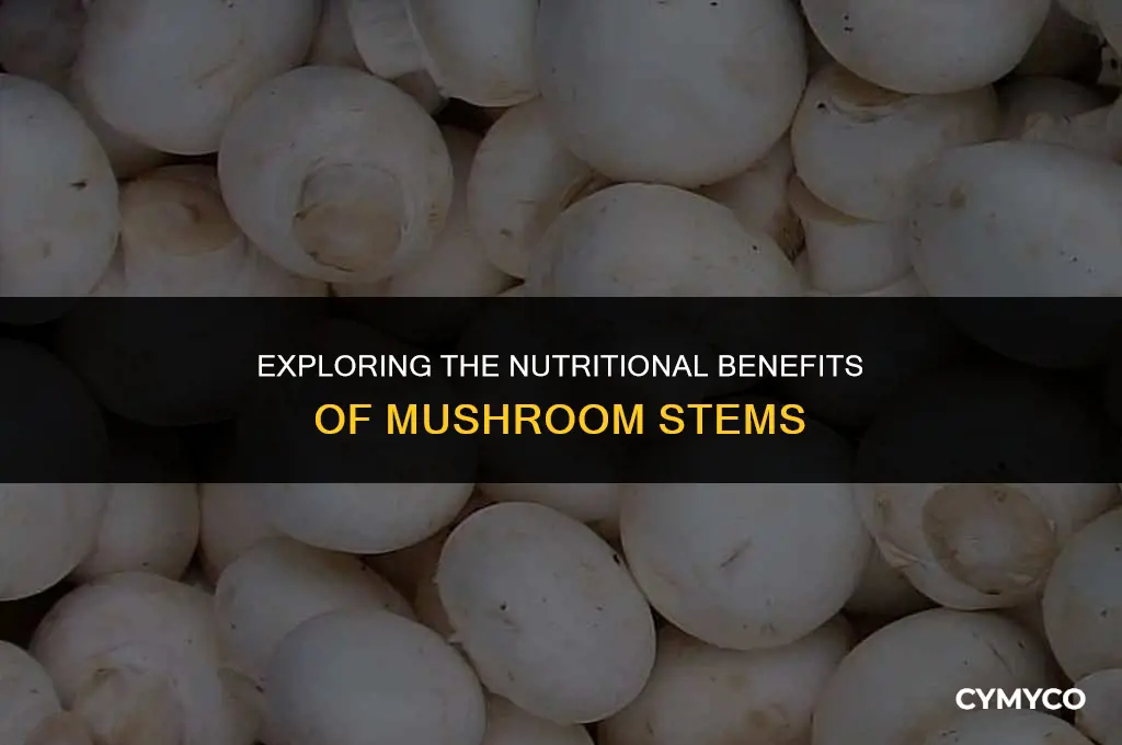 are mushroom stems good