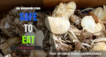 Exploring Edibility: The Truth About Mushroom Stems