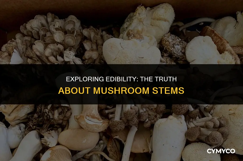 are mushroom stems safe to eat