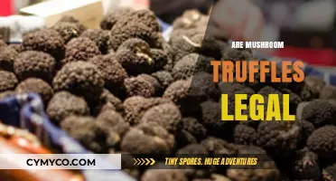 Exploring the Legality of Mushroom Truffles: A Comprehensive Guide